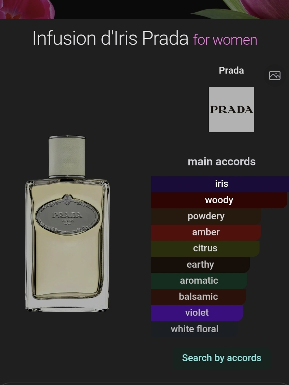 ✨️Prada Infusion D'Iris MINI✨️ - Picture 2 of 2